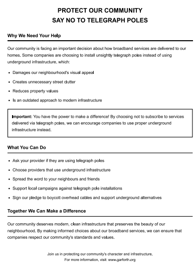 Campaign Leaflet Preview